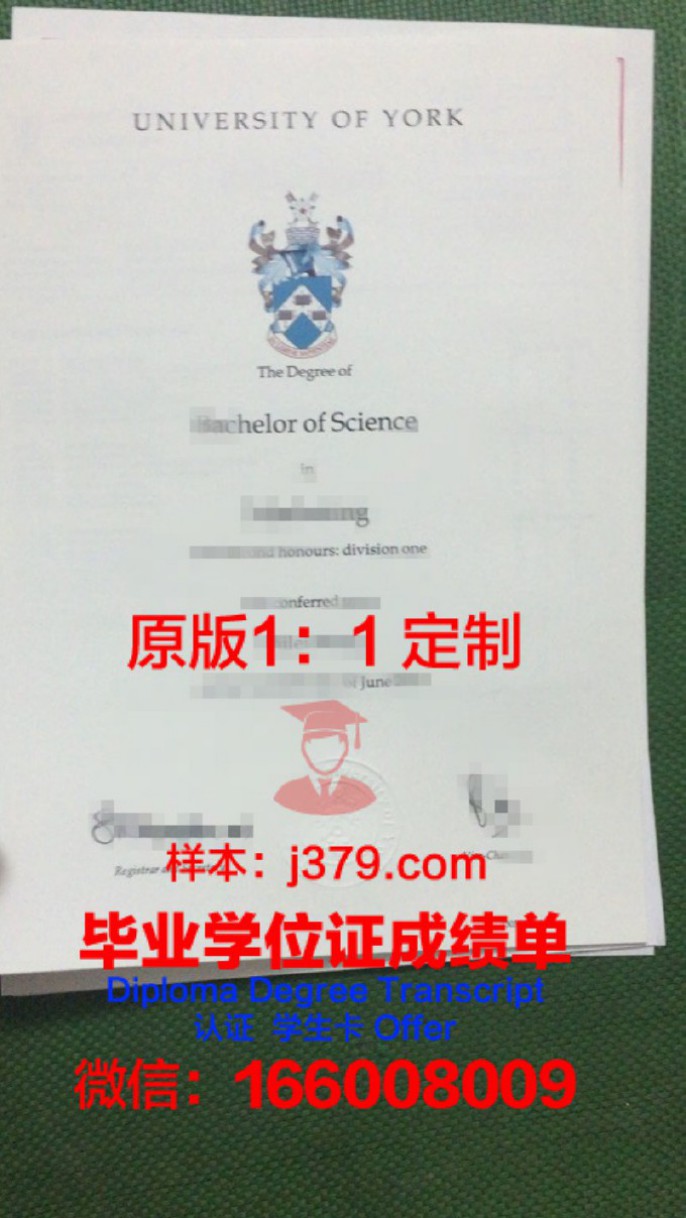 加拿大约克大学学位成绩单定制：优势与流程解析