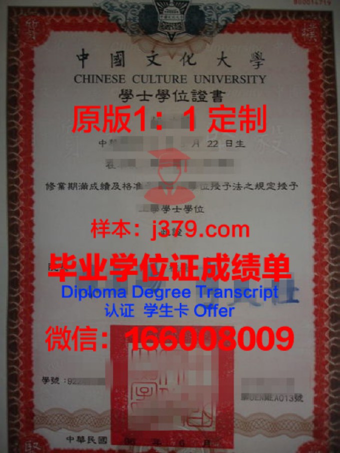 亚的斯亚贝巴大学diploma证书(亚的斯亚贝巴相当于中国几线城市)