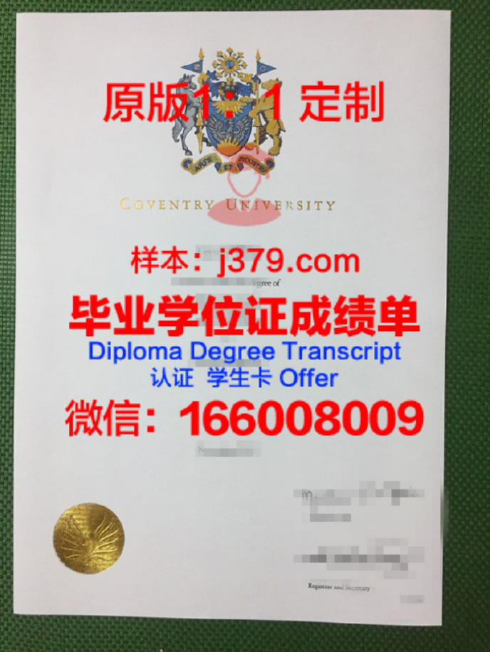 萨玛拉大学录取通知书 OFFER 定制：开启人生新篇章的钥匙