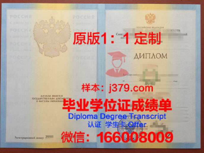 圣彼得堡国立大学录取通知书 OFFER 定制：开启你的俄罗斯留学之旅