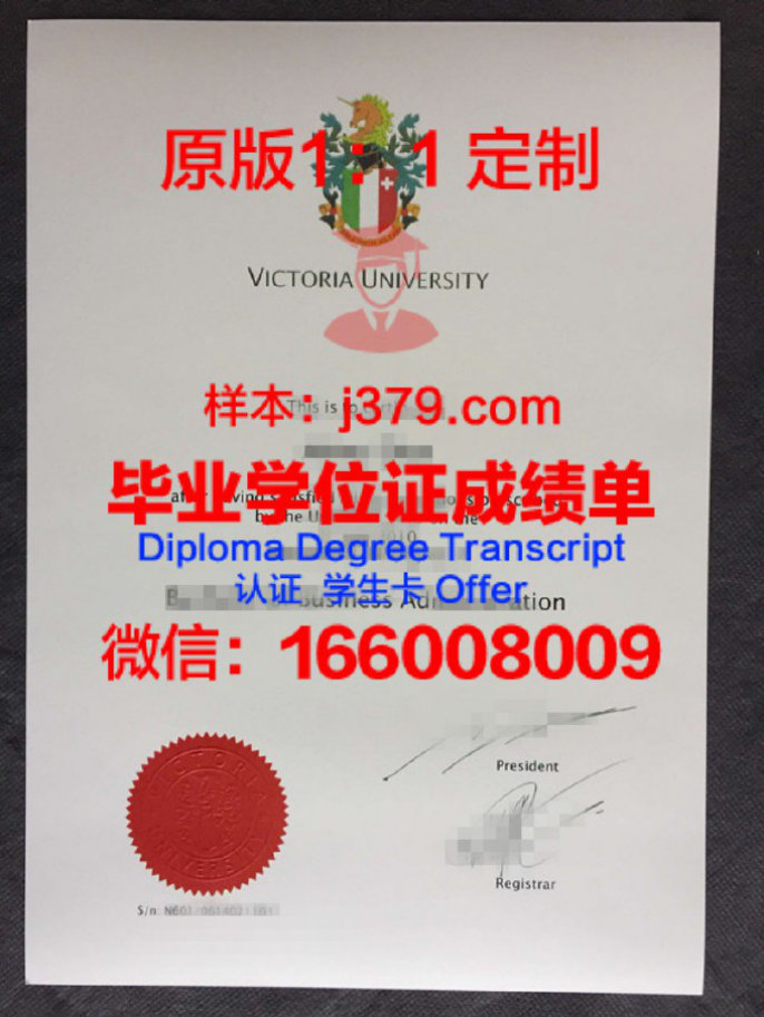 维多利亚大学录取通知书 OFFER 定制，开启你的澳洲留学之旅