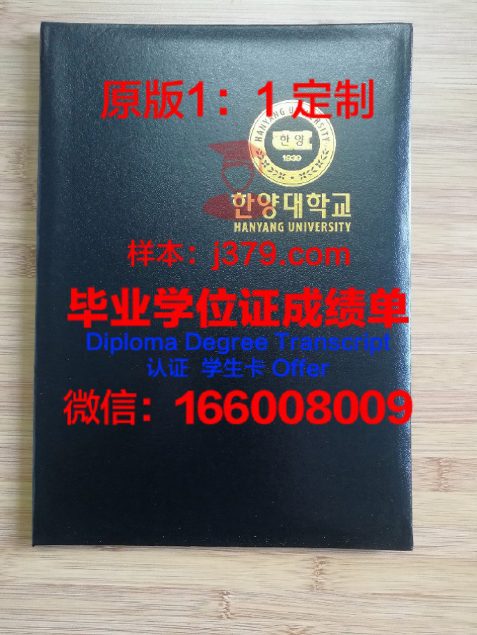 韩国弘益大学本科毕业证书：开启国际化艺术之路的钥匙