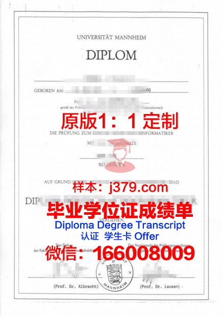 曼海姆应用技术大学毕业证翻译(曼海姆大学mmm)