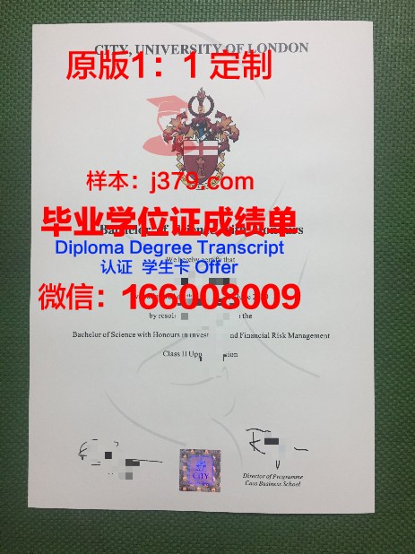 那不勒斯大学毕业证：一张承载荣誉与梦想的纸