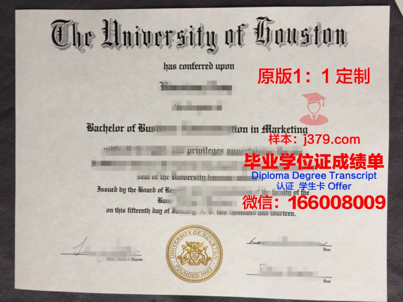 曼苏尔大学毕业学位