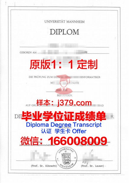 曼海姆大学 diploma 毕业证