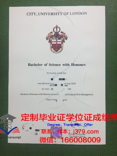 里尔高等电子与数字学院毕业证好找工作吗(里尔大学怎么样)