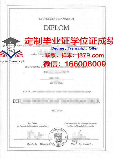 曼海姆技术与设计应用技术大学硕士毕业证(曼海姆商学院硕士要求)