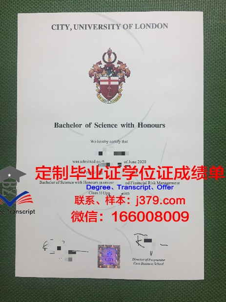 里尔-杜埃国立高等矿业电信学院毕业证样本