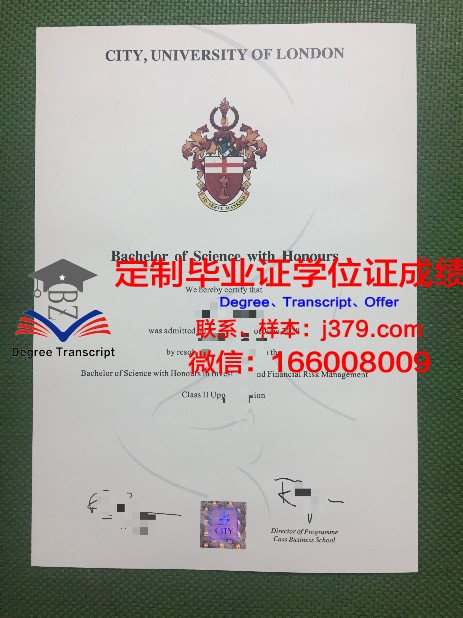 朱大学硕士毕业证：一张纸背后的故事