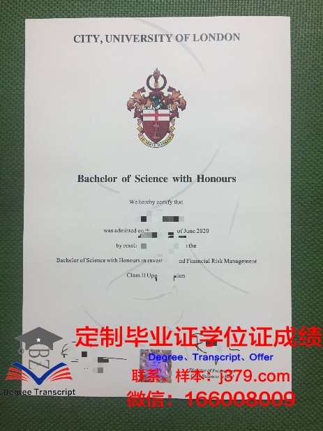 本科大学专科毕业证：探析学历教育的多元化发展