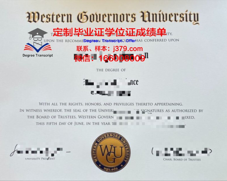 曼苏尔大学毕业学位