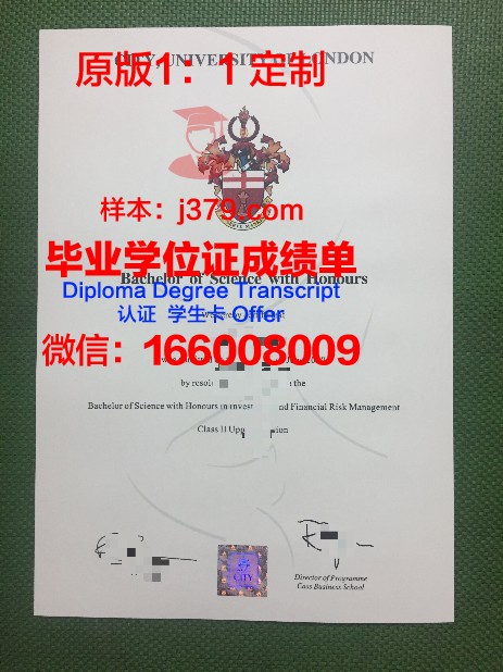 朱大学毕业证：承载荣誉与梦想的通行证