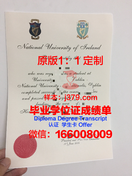 都柏林城市大学校园卡(都柏林城市大学相当于国内什么水平)