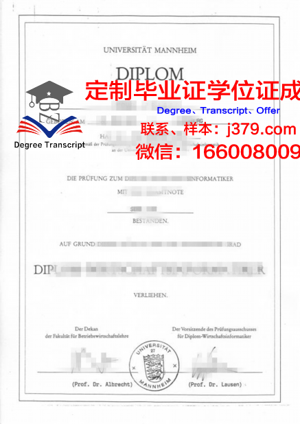 曼海姆技术与设计应用技术大学毕业证什么样子(曼海姆大学是公立的吗)