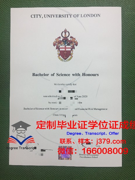 曼德勒计算机研究大学毕业证：开启数字化未来的钥匙