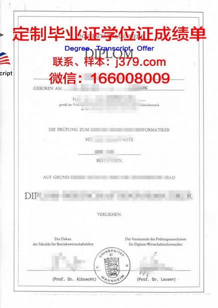 曼海姆应用技术大学 diploma 毕业证