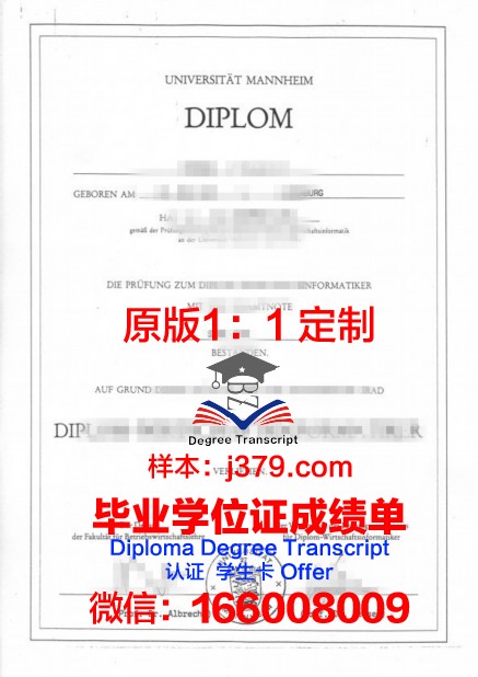 曼海姆应用技术大学 diploma 毕业证