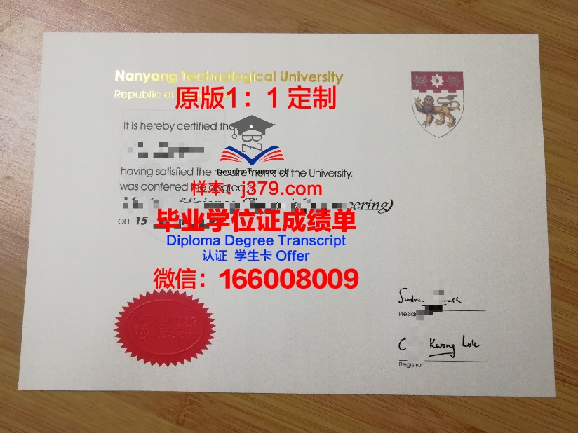 里尔第三大学毕业证(里尔第三大学毕业证图片)