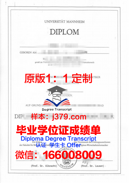 曼海姆应用技术大学毕业证是什么模样(曼海姆大学毕业薪资)