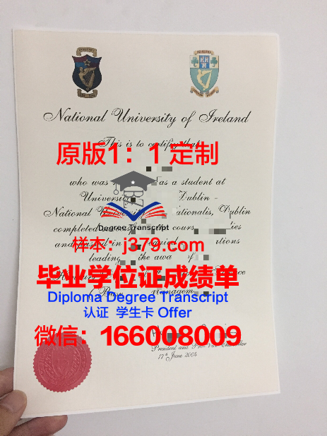 都柏林理工大学毕业证外壳(都灵理工大学毕业证)