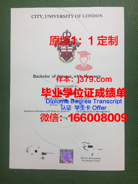 普里什蒂纳大学毕业证高清图(普里什蒂纳机场事件后续)