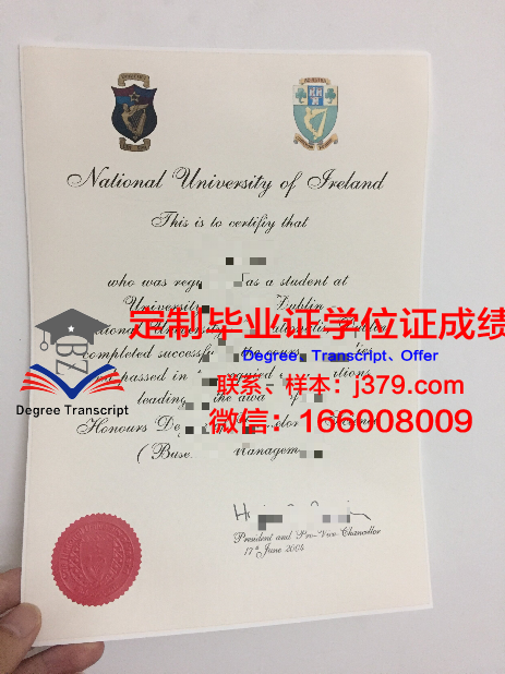 都柏林城市大学毕业证书几月份拿到(都柏林城市大学语言班)