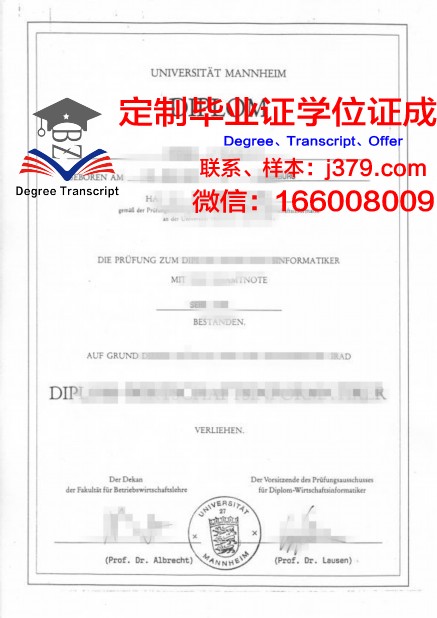 曼海姆大学学位证书(曼海姆大学英文授课)