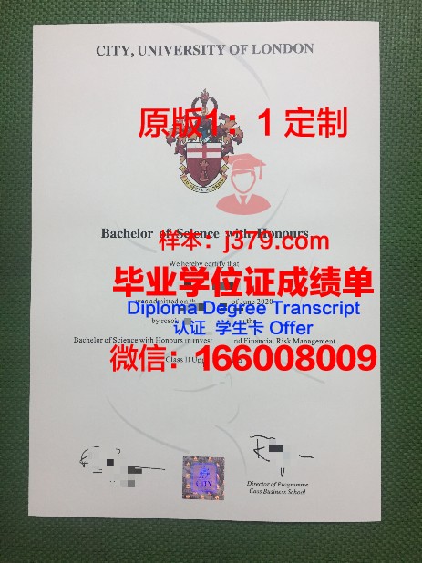 那不勒斯腓特烈二世大学毕业证案例