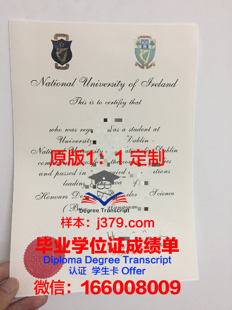 都柏林城市大学毕业证成绩单(都柏林大学毕业率)