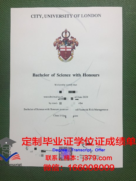 里尔第二大学毕业证模板(里昂二大毕业证)