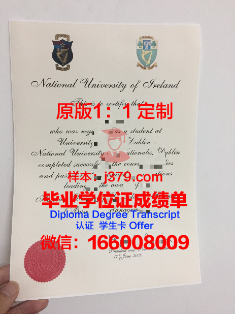 都柏林城市大学毕业证真伪(都柏林大学毕业率)