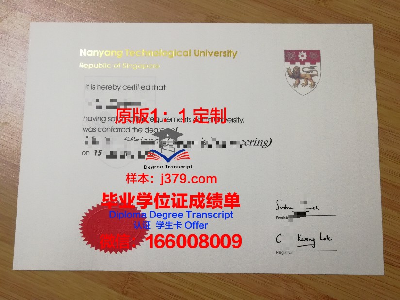 曼苏尔大学毕业证diploma