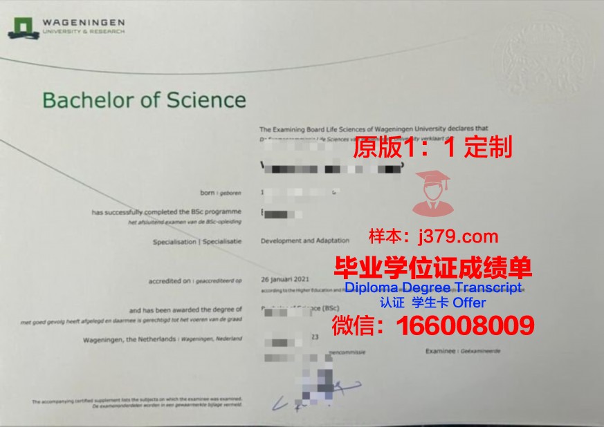 本科大学毕业证书图片：一份珍贵的青春记忆