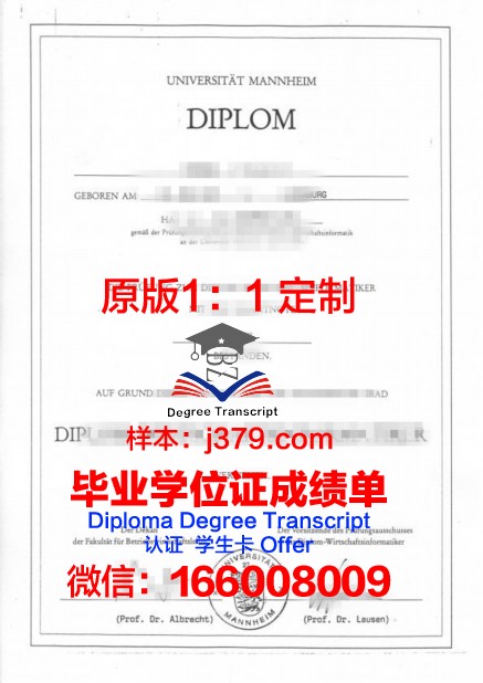 曼海姆大学的毕业证都能做(曼海姆大学mmm)