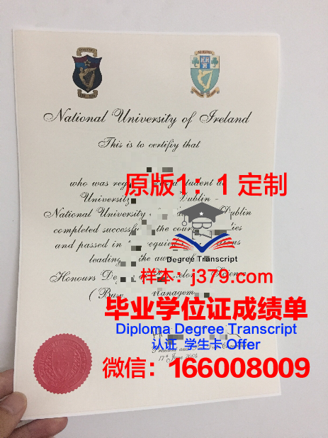 都柏林城市大学硕士毕业证(都柏林城市大学硕士专业)