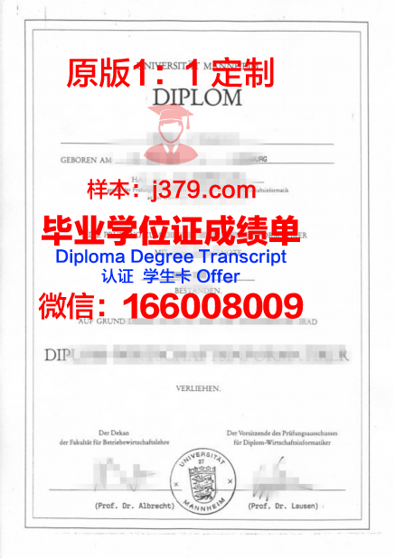 曼海姆大学 diploma 毕业证