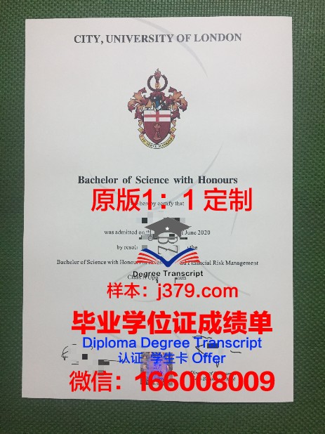 里尔大学综合理工学院毕业证模板(理工大学毕业证书图片)