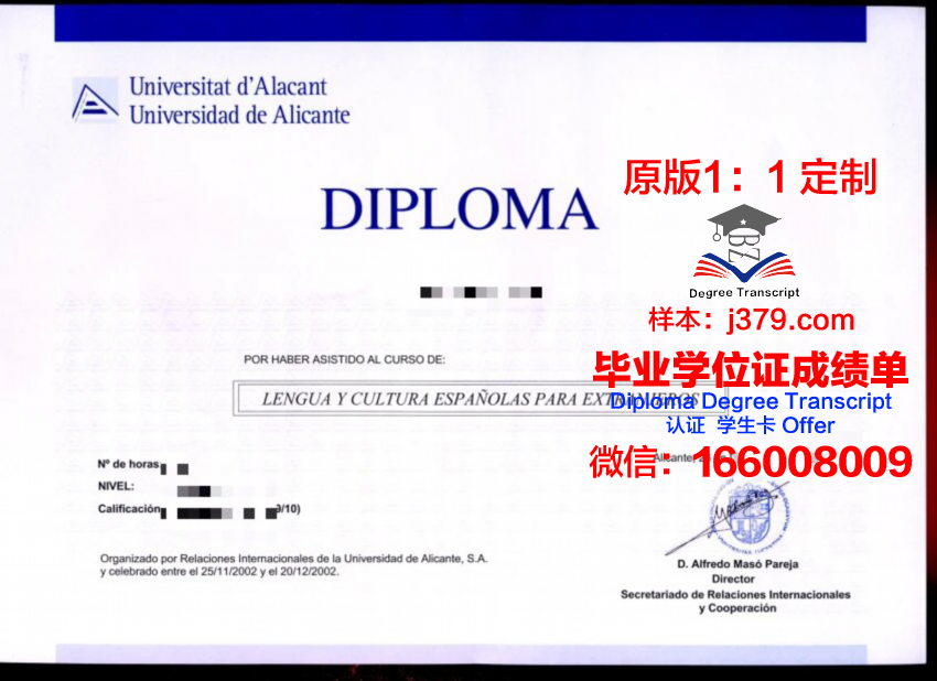 里坎特硕士毕业证：一份跨越时空的荣誉证书