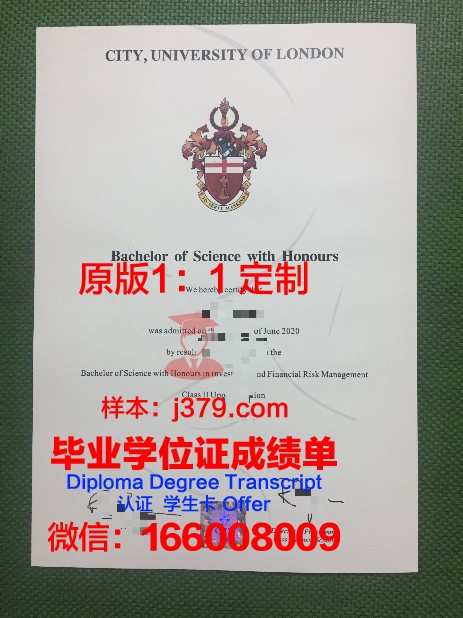 都灵大学毕业证真伪(大学毕业证真伪查询系统)