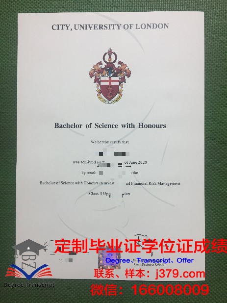 里尔高等电子与数字学院学位证书(里尔高级工程师学院)