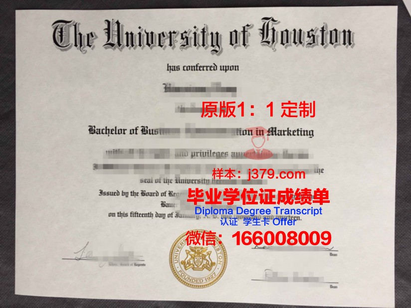 曼恩大学（勒芒大学）硕士毕业证：一份跨文化的学术荣耀