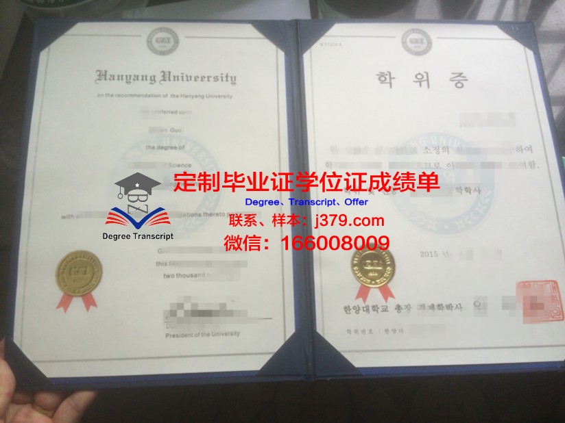 智利大学学位证成绩单：一份国际认可的学术凭证