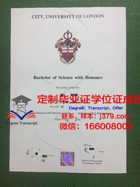 那不勒斯腓特烈二世大学硕士毕业证：一份跨越时空的荣誉