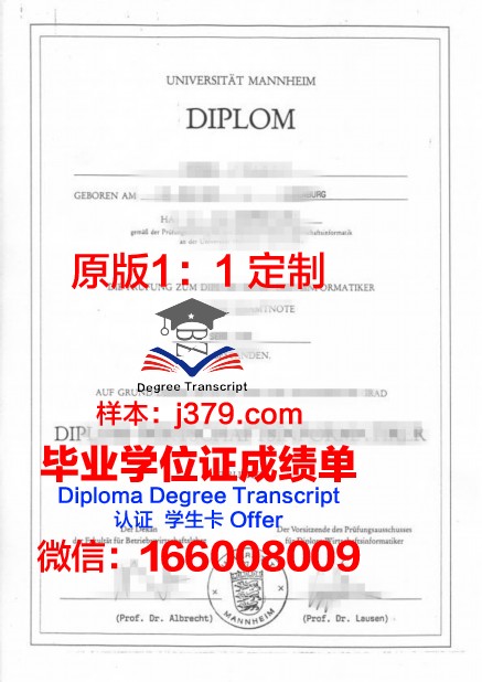 曼海姆大学硕士毕业证(曼海姆商学院硕士要求)