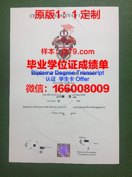 那不勒斯费德里克二世大学毕业证照片