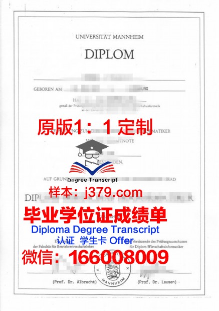 曼海姆大学证书成绩单(曼海姆大学mmm)