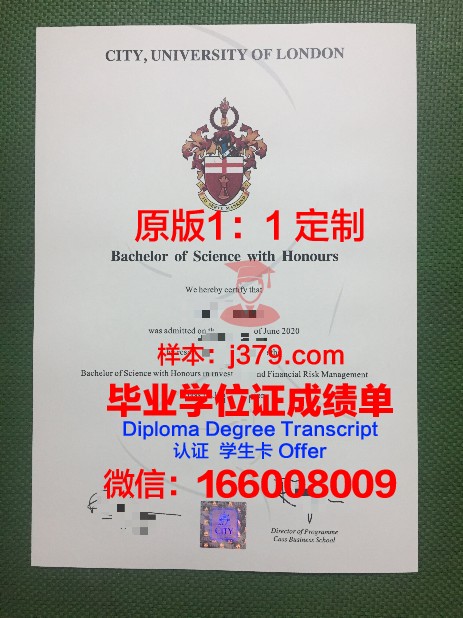 里尔大学毕业证成绩单怎么打印(里尔大学毕业证成绩单怎么打印的)