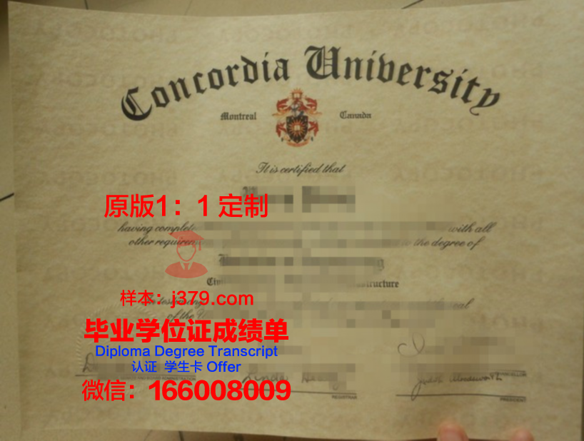 那亚大学位证：一张开启未来的钥匙